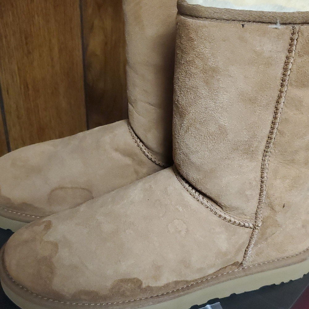 UGG Tan Men's Boots